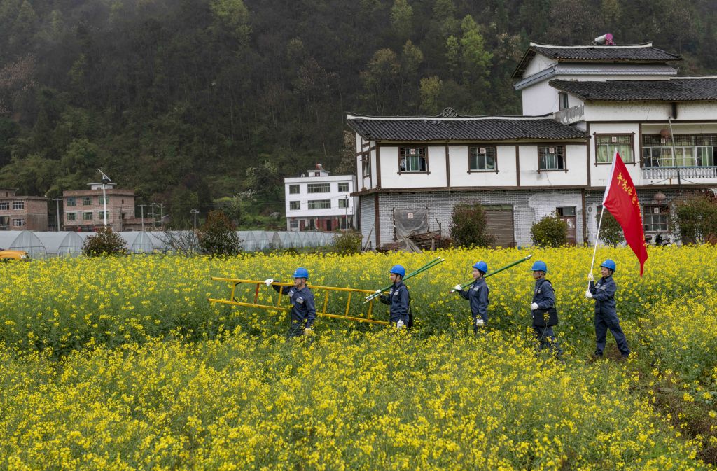 我们是电亮先锋党员服务队