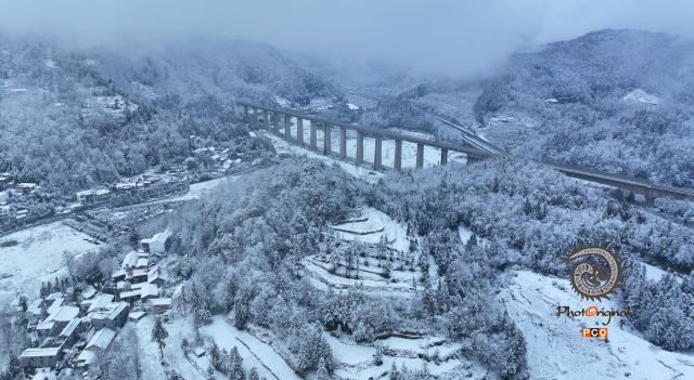 冬天里的桥