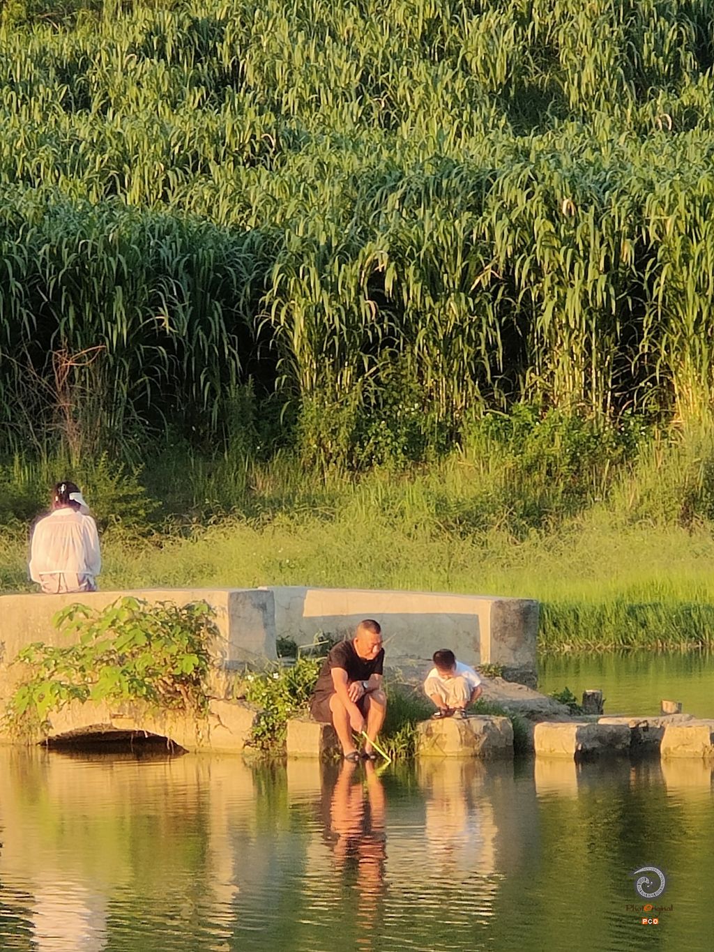 查白桥——与父亲的记忆