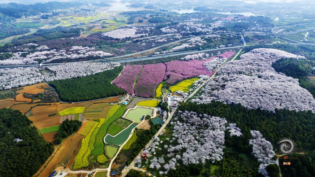 公路上的花海世界