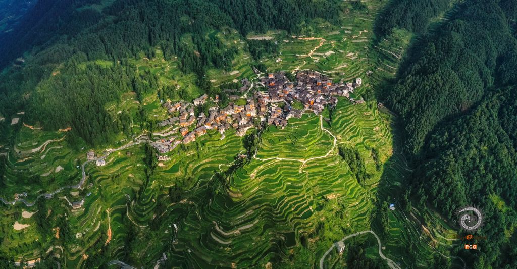 家园