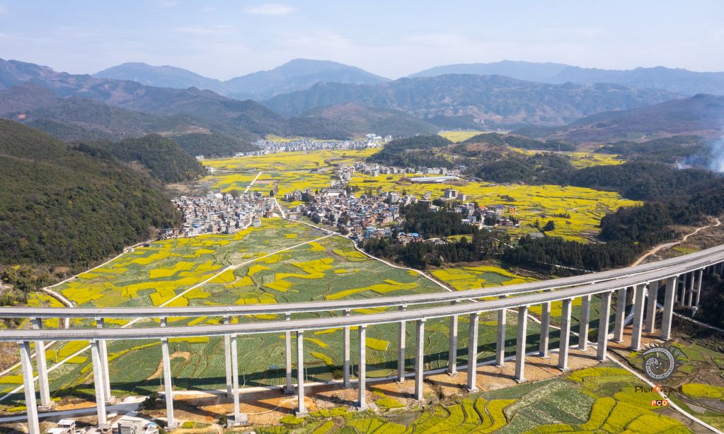 花海与桥梁