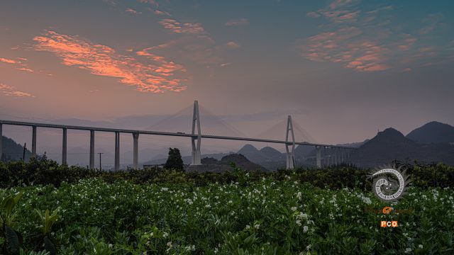 丰收在望