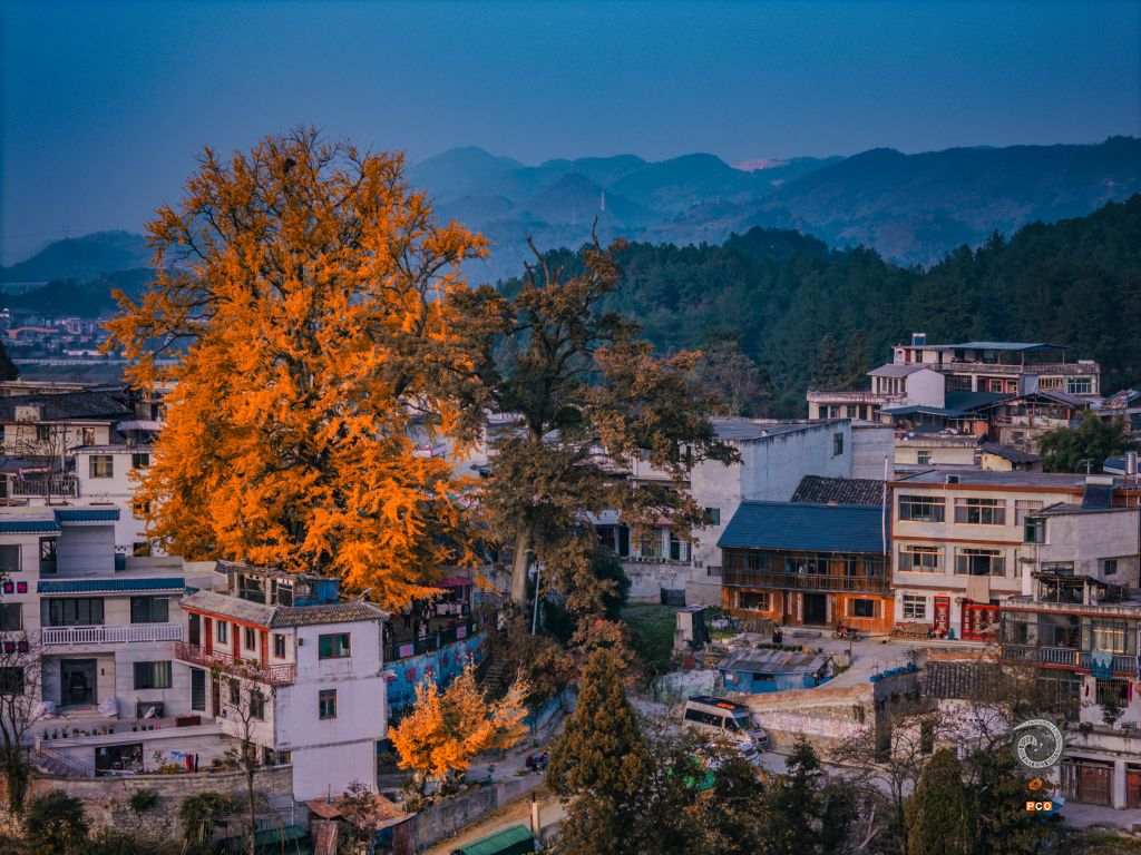 屯堡一景
