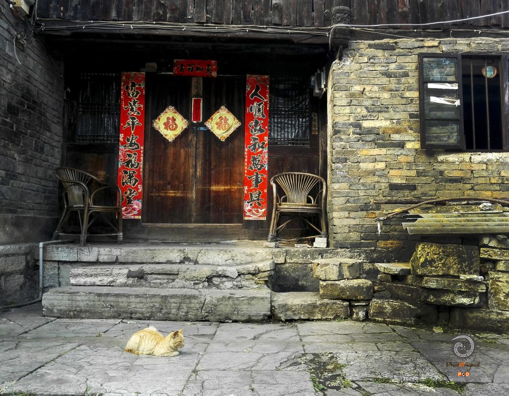 午后时光