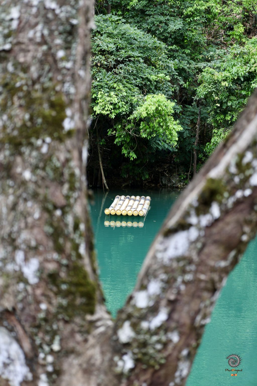《人间的烟火气》