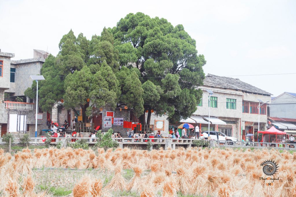 石筑光阴，屯堡依然