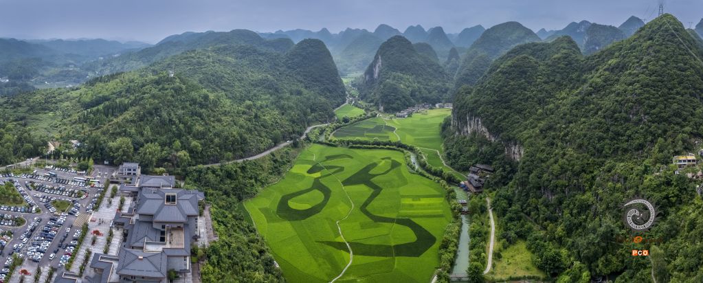 《生态龙宫》