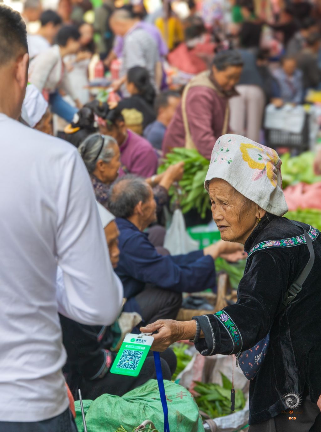 《菜市新章：阿婆的扫码时光》