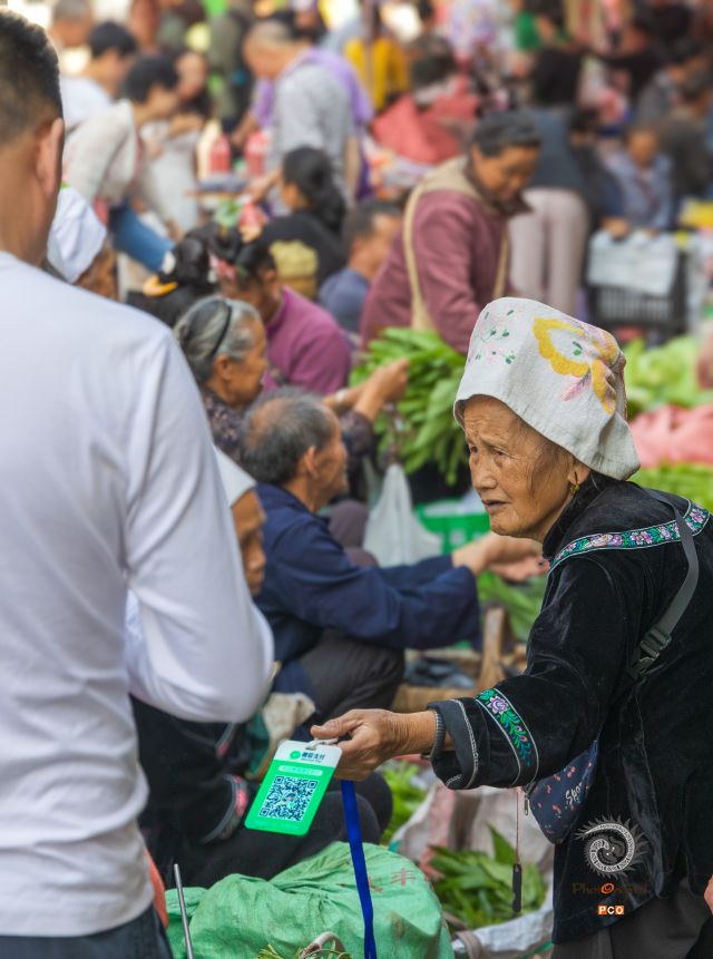 《菜市新章：阿婆的扫码时光》