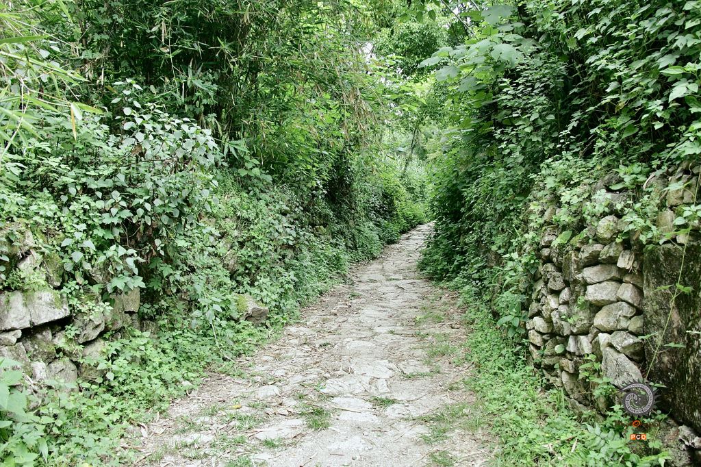 茶马古道——关索岭古道