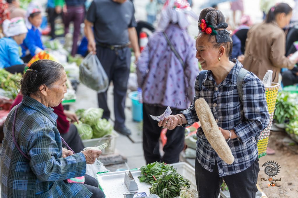 《交易瞬间：菜市场的人间烟火》