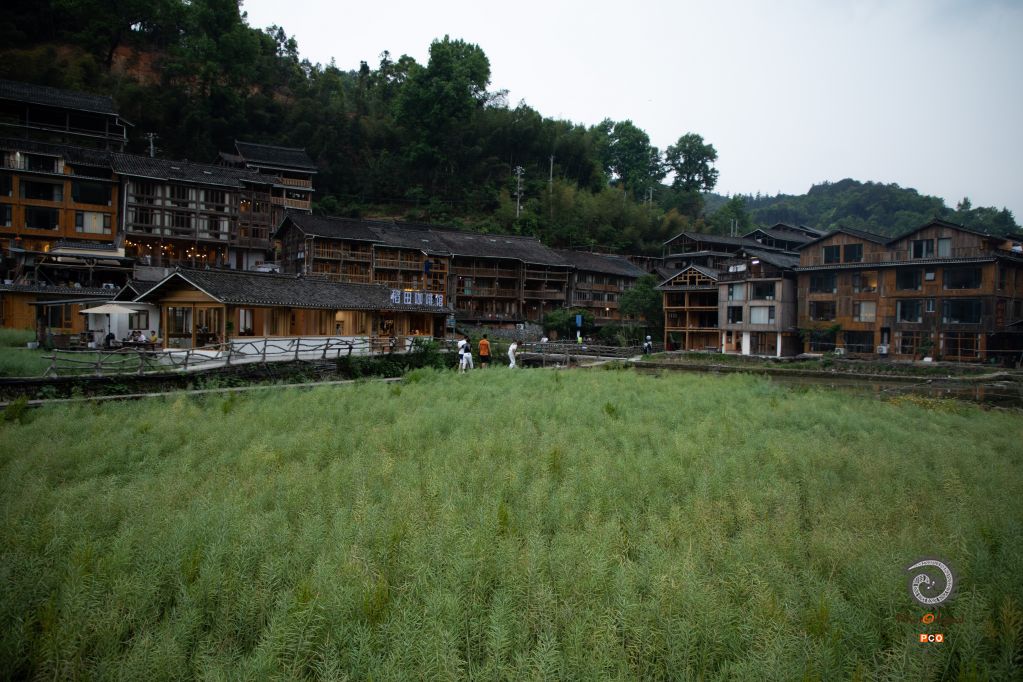 《林溪村语》
