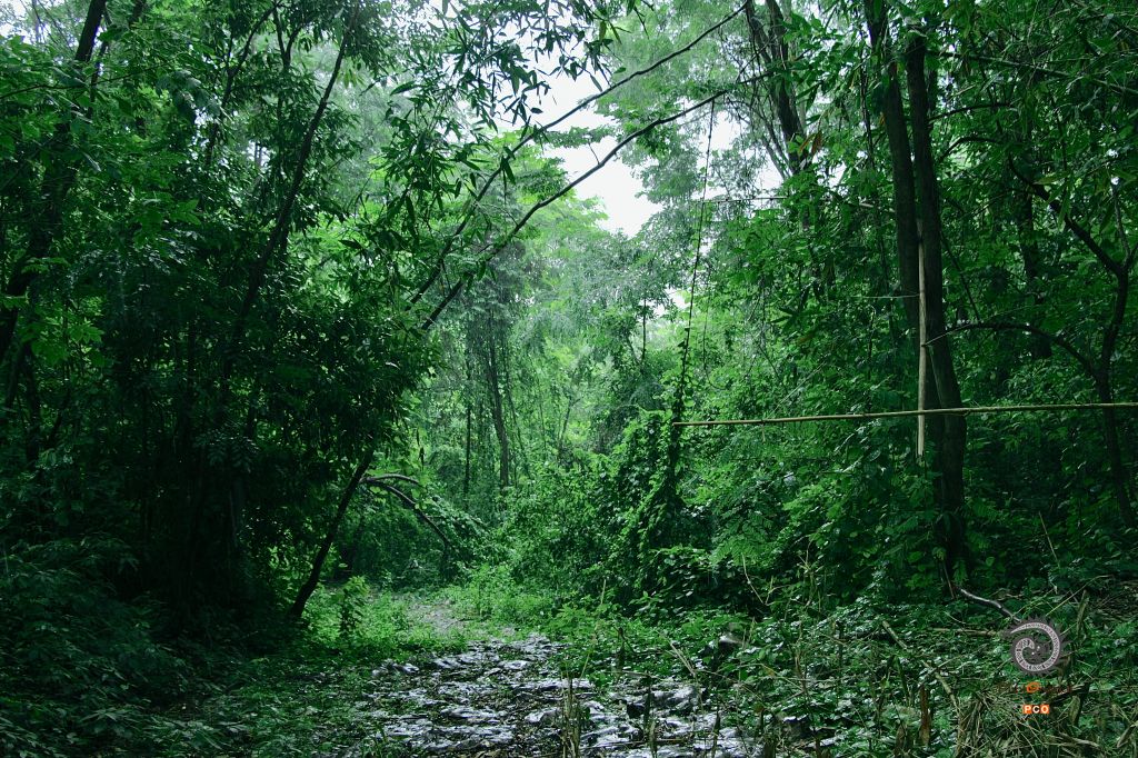 茶马古道——关索岭古道