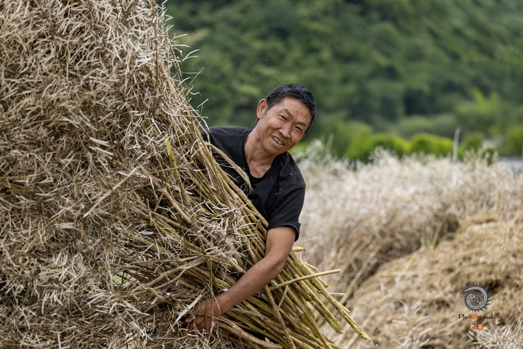 丰收的喜悦