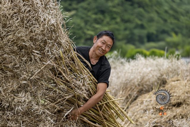丰收的喜悦