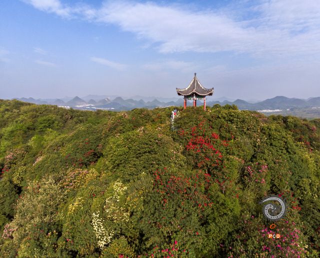 美不胜收