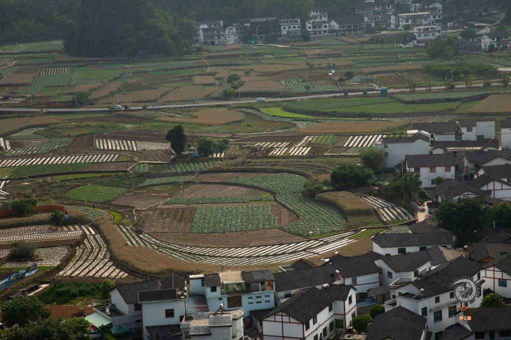 《林溪村语》