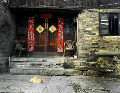 午后时光