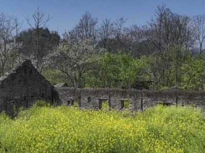 《石屋春韵》