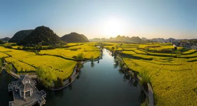 《鲍家屯》