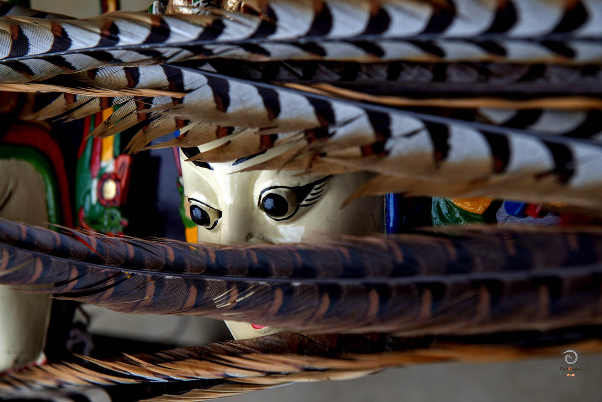 0061-《翎羽传傩韵》  龙兵   189855509981200.jpg