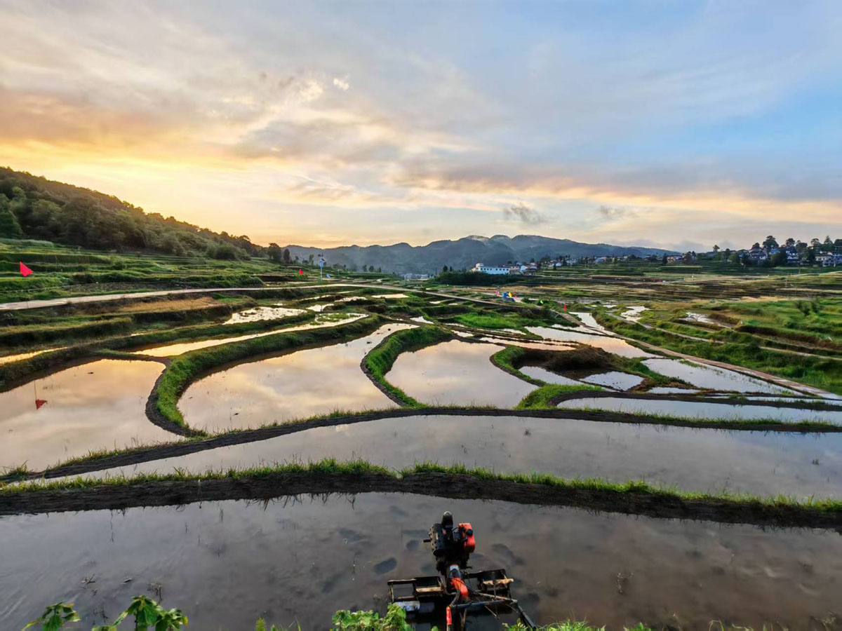 陈刚 天水共享霞光1200.jpg