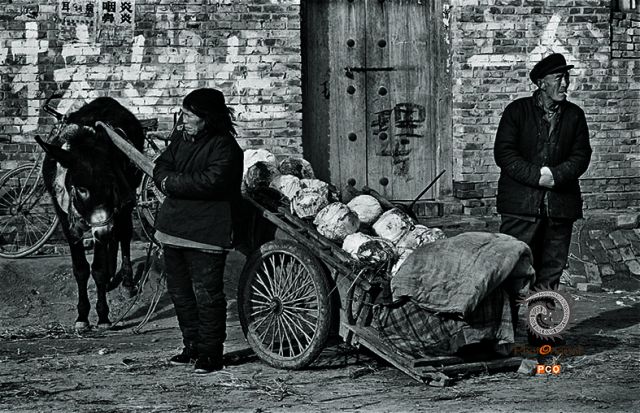 《黄河人家》