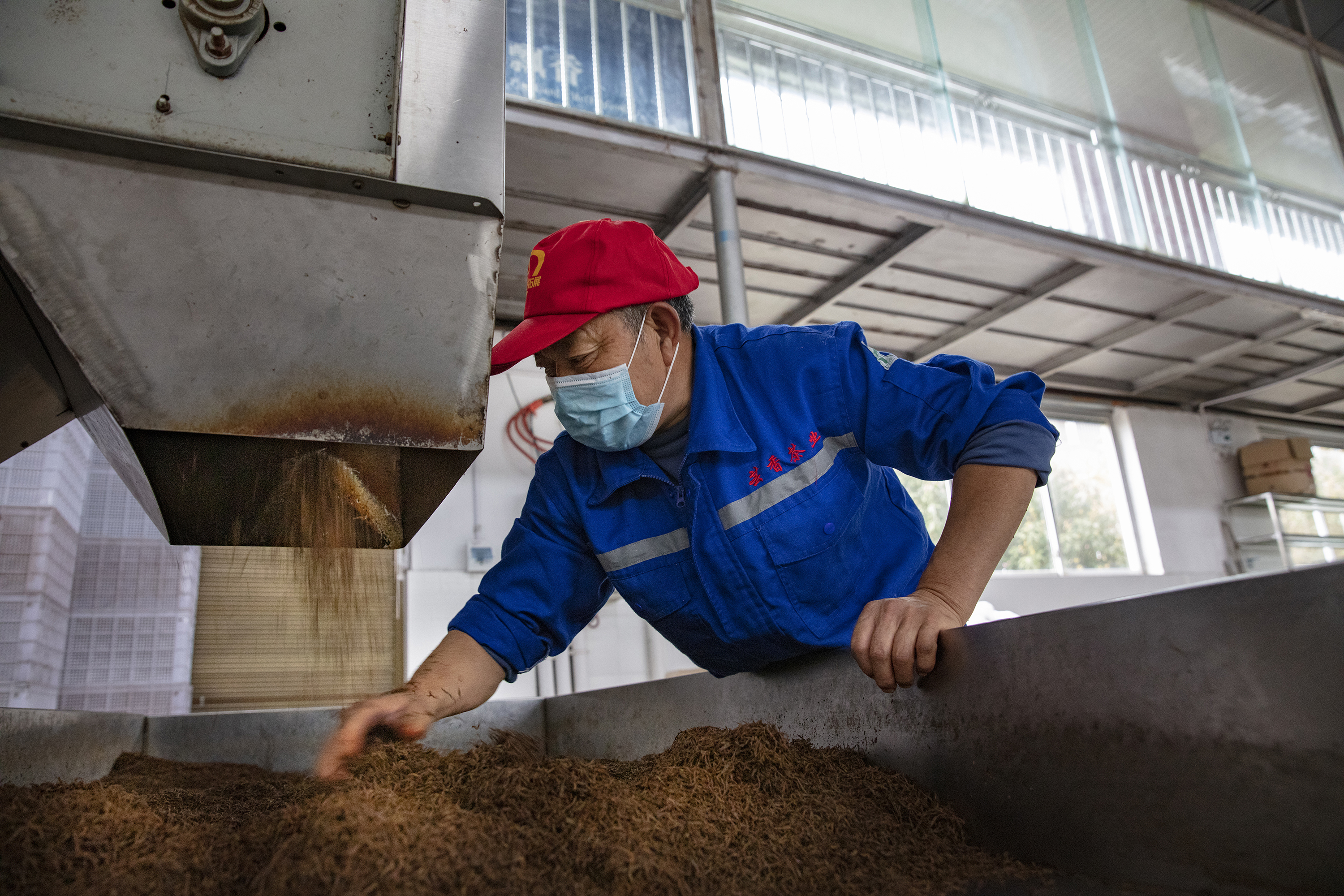 《全面复工复产的贵州茶产业保卫战》
