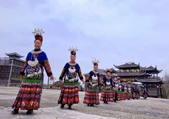 2025多彩贵州·第十八届中国原生态国际摄影大展 · 巴西铁 的图集