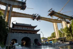 2023多彩贵州·第十六届中国原生态国际摄影大展 · 兰花 的图集