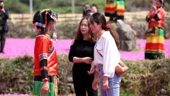多彩贵州·第十四届中国原生态国际摄影大展 · 流浪枫叶 的图集