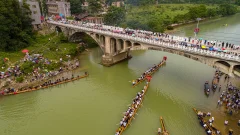 2023多彩贵州·第十六届中国原生态国际摄影大展 · 独立寒秋 的图集