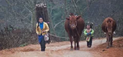 回家路上