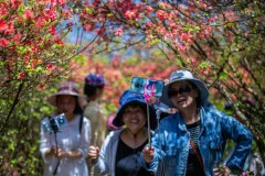 多彩贵州·第十四届中国原生态国际摄影大展 · 啊伟 的图集