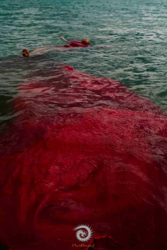 2024多彩贵州·第十七届中国原生态国际摄影大展展览 · 摄影大展官方客服 的图集