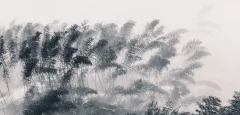多彩贵州·第十四届中国原生态国际摄影大展 · 一江 的图集