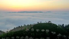 多彩贵州·第十四届中国原生态国际摄影大展 · 周访华 的图集