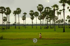 2024多彩贵州·第十七届中国原生态国际摄影大展展览 · 摄影大展官方客服 的图集