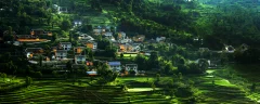 新农村