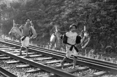 《别了，黔桂老铁路》