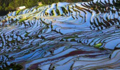 多彩贵州·第十四届中国原生态国际摄影大展 · 金兆 的图集