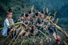 2024多彩贵州·第十七届中国原生态国际摄影大展展览 · 摄影大展官方客服 的图集
