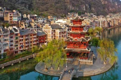 2025多彩贵州·第十八届中国原生态国际摄影大展 · 巴西铁 的图集