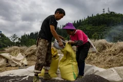 2025多彩贵州·第十八届中国原生态国际摄影大展 · 胖子 的图集