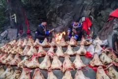 2025多彩贵州·第十八届中国原生态国际摄影大展 · 青瓷 的图集
