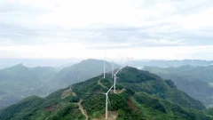 多彩贵州·第十四届中国原生态国际摄影大展 · 流浪枫叶 的图集