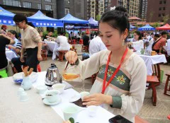 多彩贵州·第十四届中国原生态国际摄影大展 · 寒郊野草 的图集