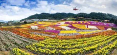 多彩贵州·第十四届中国原生态国际摄影大展 · 山涧泉水 的图集