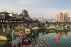 多彩贵州·第十四届中国原生态国际摄影大展 · 亮川汉子 的图集